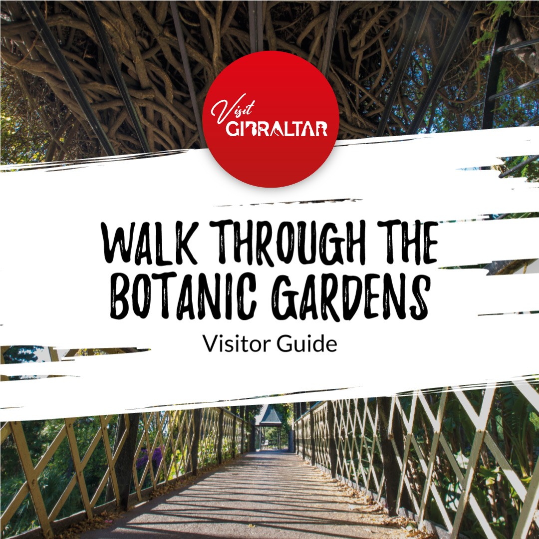 Image of Walk through the Botanic Gardens Visitor Guide